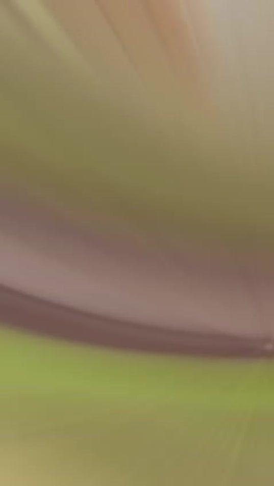 TikTok video thumbnail by mohammadshkoukany