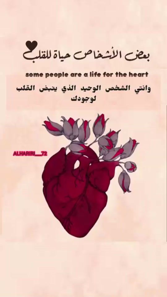 TikTok video thumbnail by alhariri___72