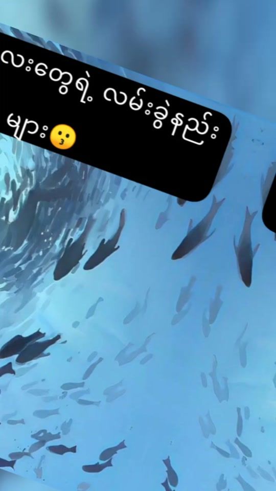 TikTok video thumbnail by btsforeverfangirl