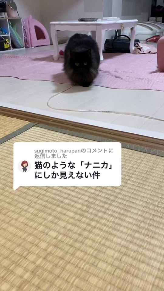 TikTok video thumbnail by runrunroom