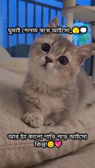 TikTok video thumbnail by moon_walker2007