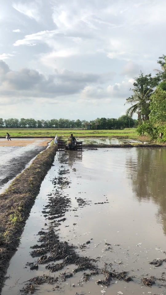 TikTok video thumbnail by syahmi6637