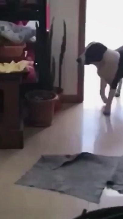 TikTok video thumbnail by sreang016