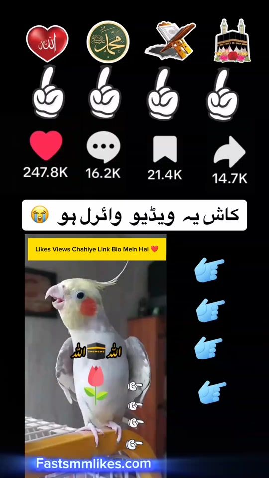 TikTok video thumbnail by sonia.khan8184