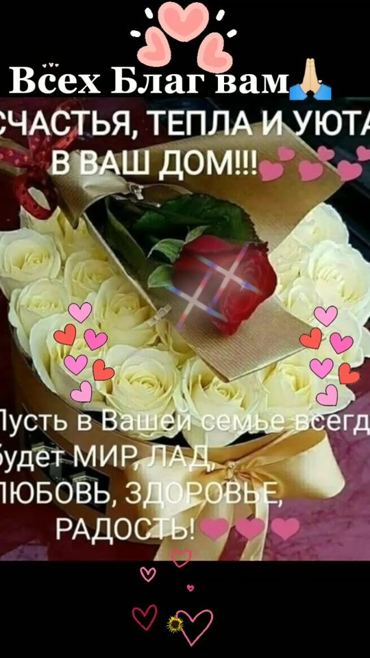 TikTok video thumbnail by mariamurinbasarova