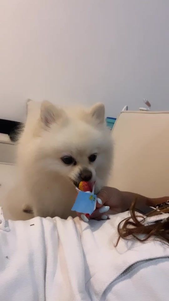 TikTok video thumbnail by maayan16888