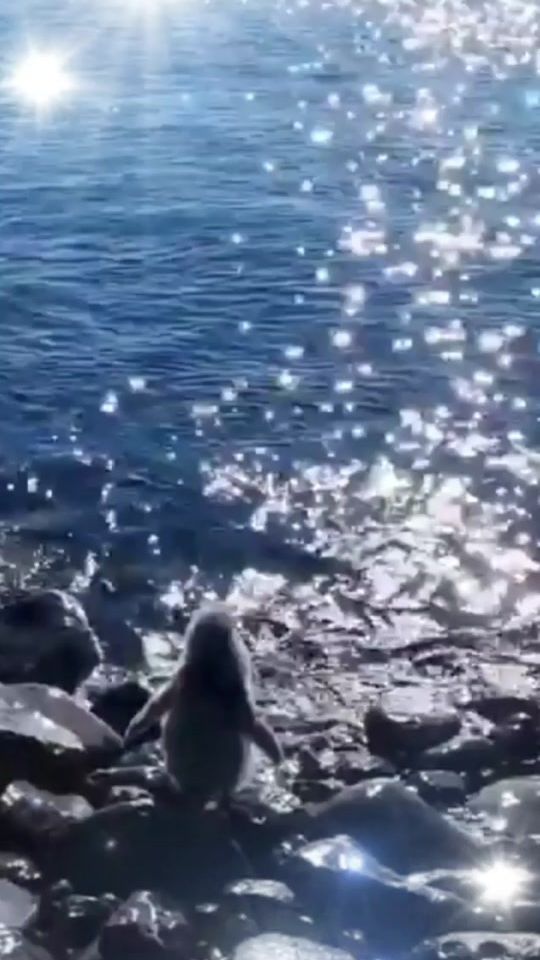 TikTok video thumbnail by lidija75