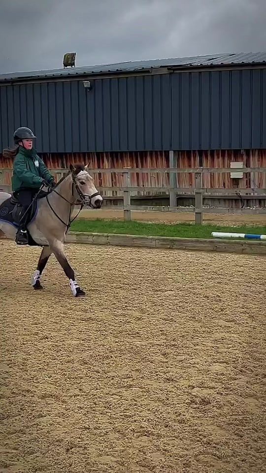 TikTok video thumbnail by _equineedits