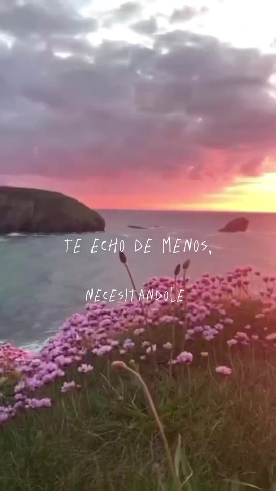 TikTok video thumbnail by necesitandole