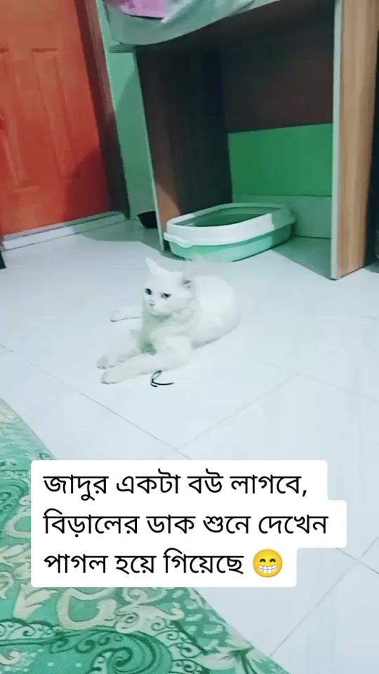 TikTok video thumbnail by abaanalislam