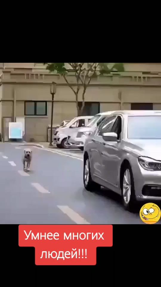 TikTok video thumbnail by natali56358