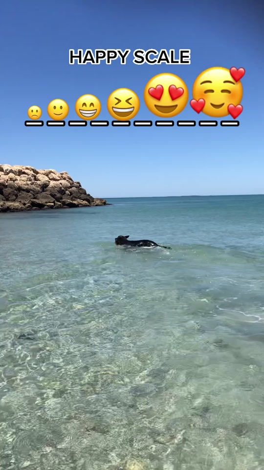 TikTok video thumbnail by xena_ddogwarriorprincess