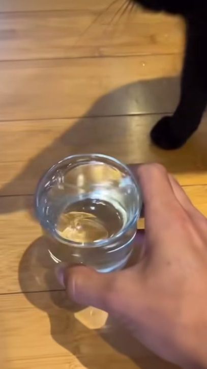 TikTok video thumbnail by hayvanstagram