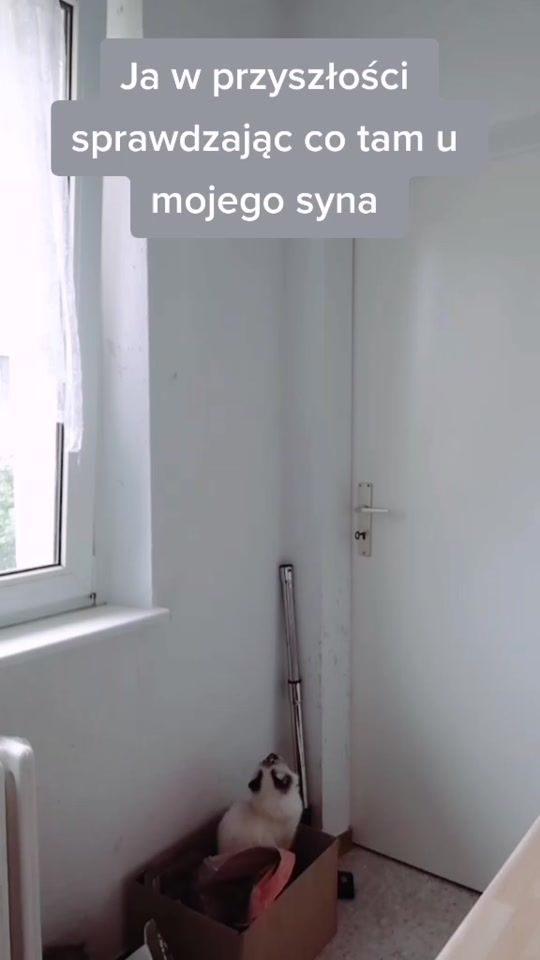 TikTok video thumbnail by tendziwny