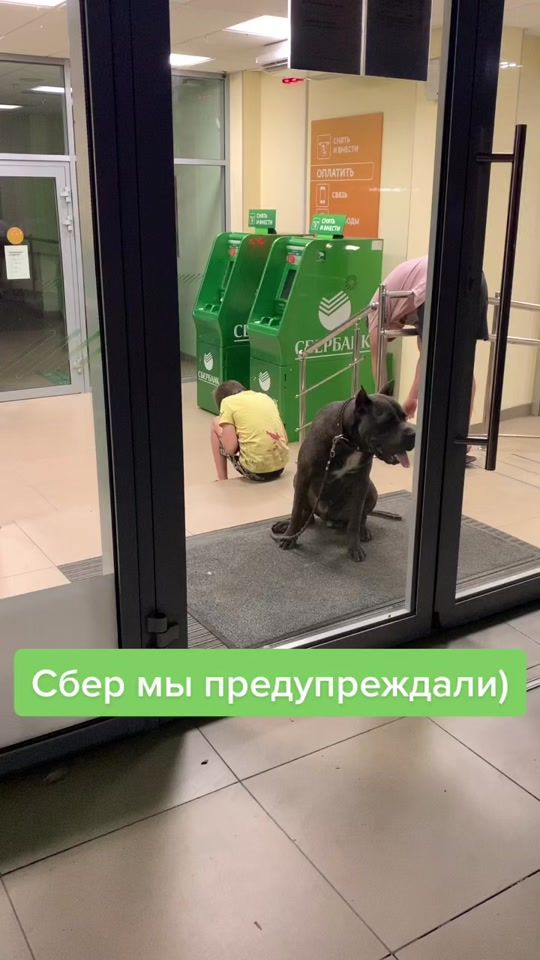 TikTok video thumbnail by ggwenger