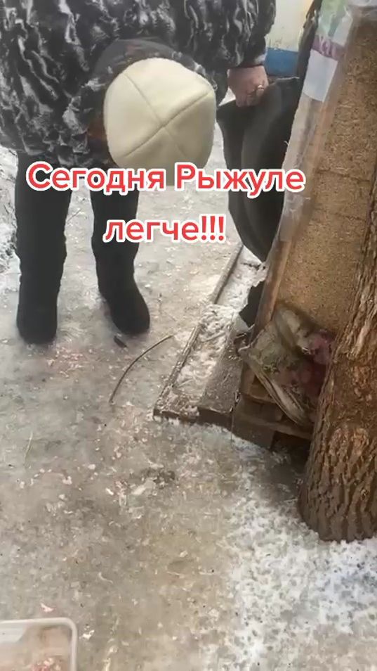 TikTok video thumbnail by dobridrugengsar