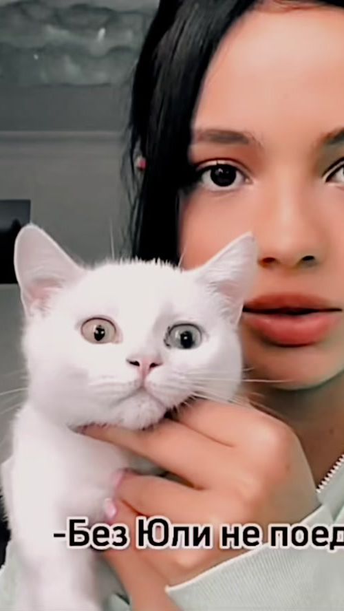 TikTok video thumbnail by karnaval_2212