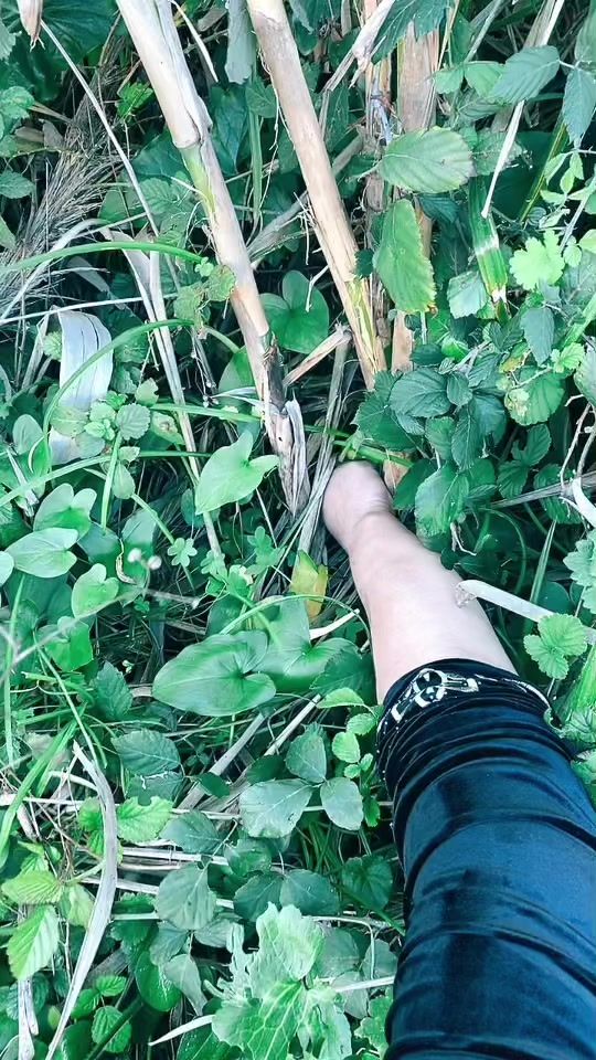 TikTok video thumbnail by masnsen6