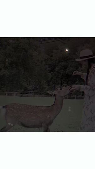 TikTok video thumbnail by 8yzar