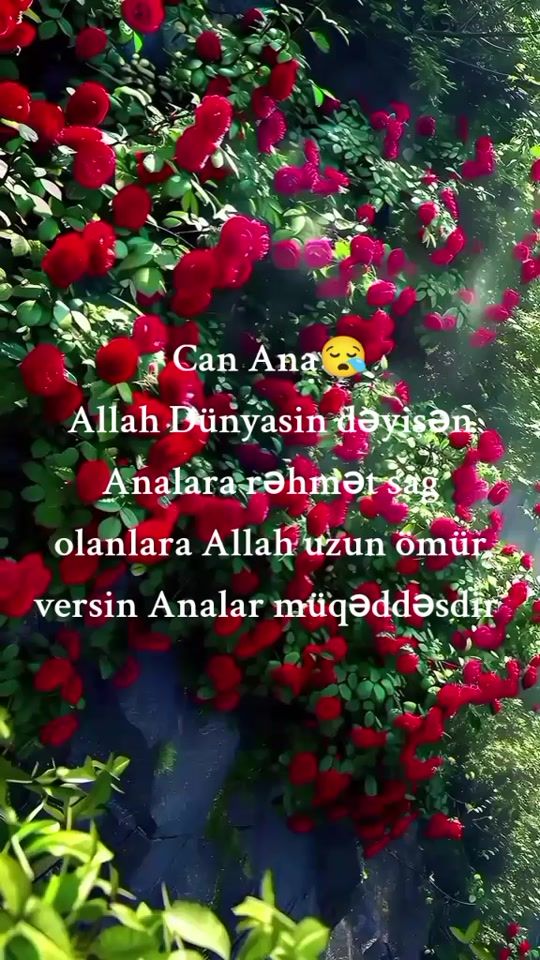 TikTok video thumbnail by user448360242q