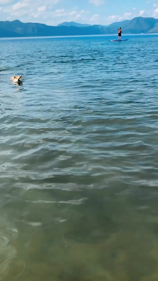 TikTok video thumbnail by mamibeans
