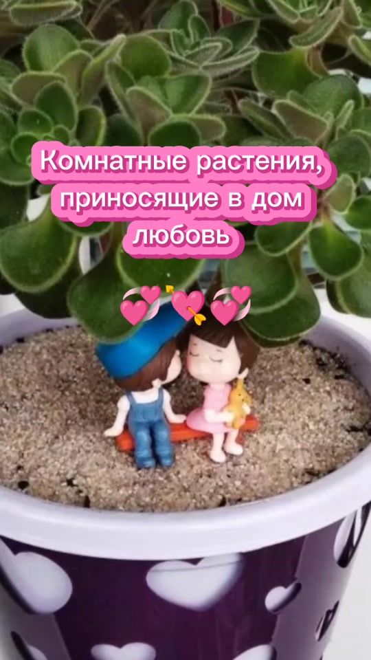 TikTok video thumbnail by pro.tzvetok