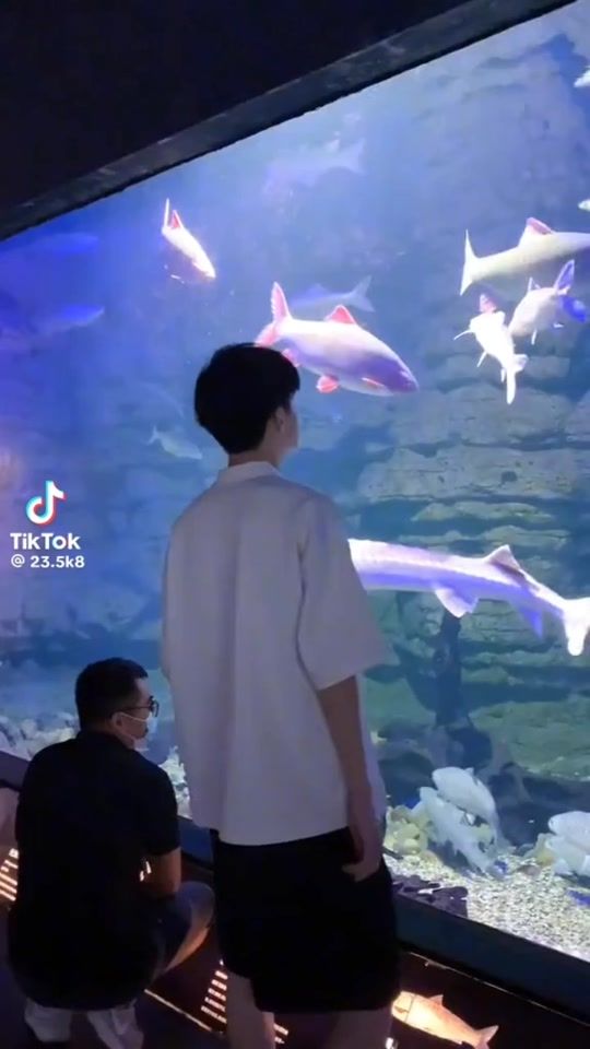 TikTok video thumbnail by douangjai890