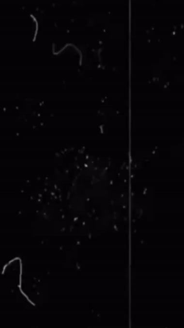 TikTok video thumbnail by appel.mankee2