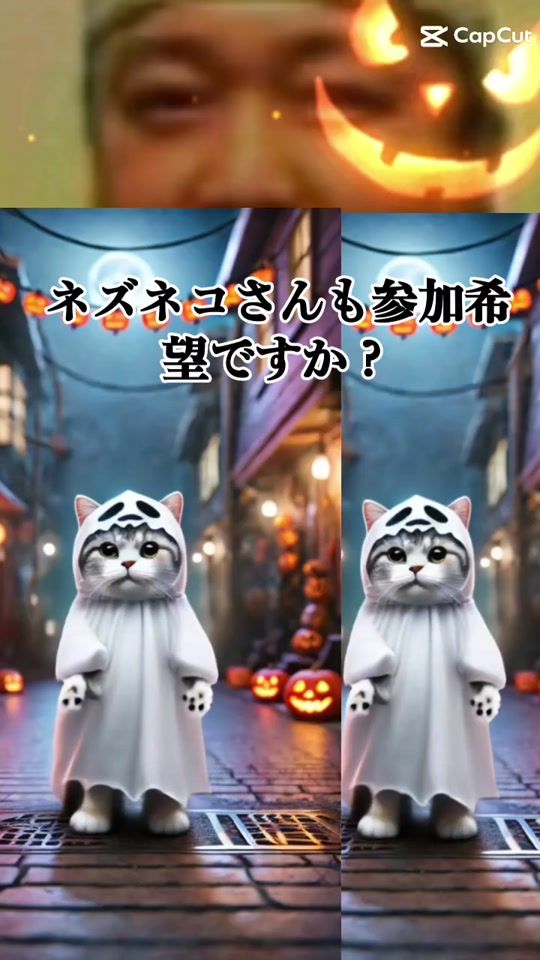 TikTok video thumbnail by 19560330monchichi