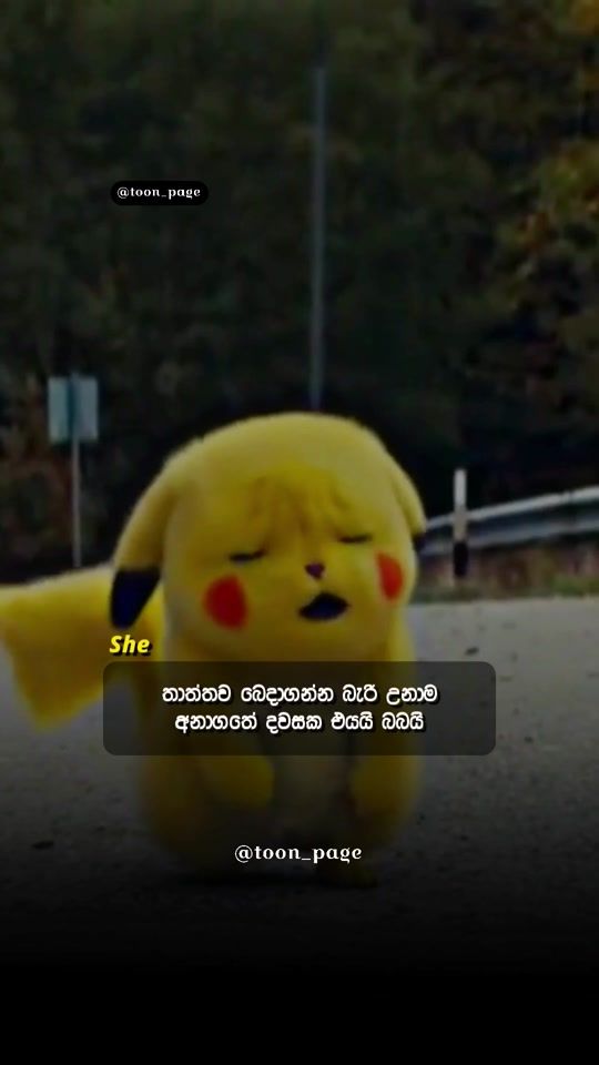TikTok video thumbnail by asakjayasinghe