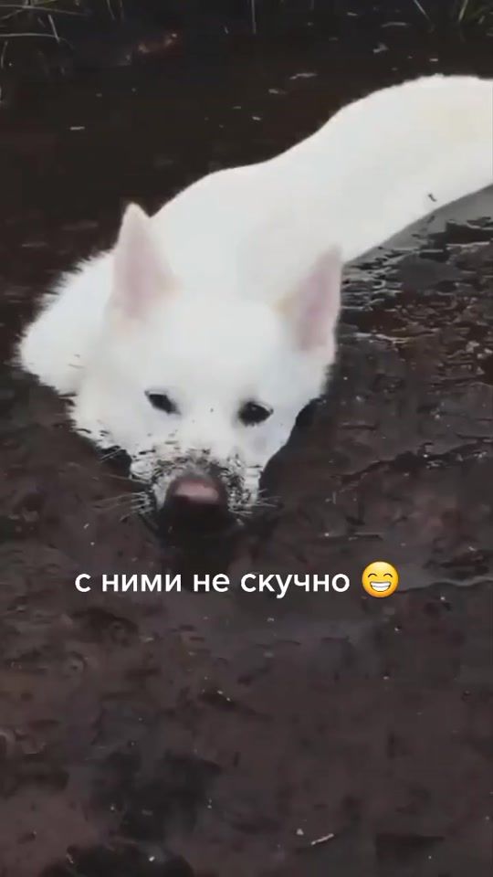 TikTok video thumbnail by smile_from