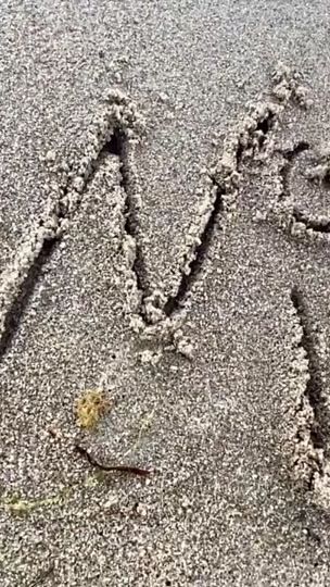 TikTok video thumbnail by lenaschabacker