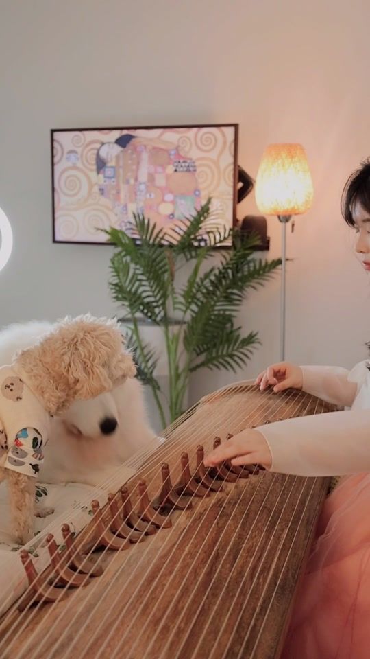 TikTok video thumbnail by ayageum