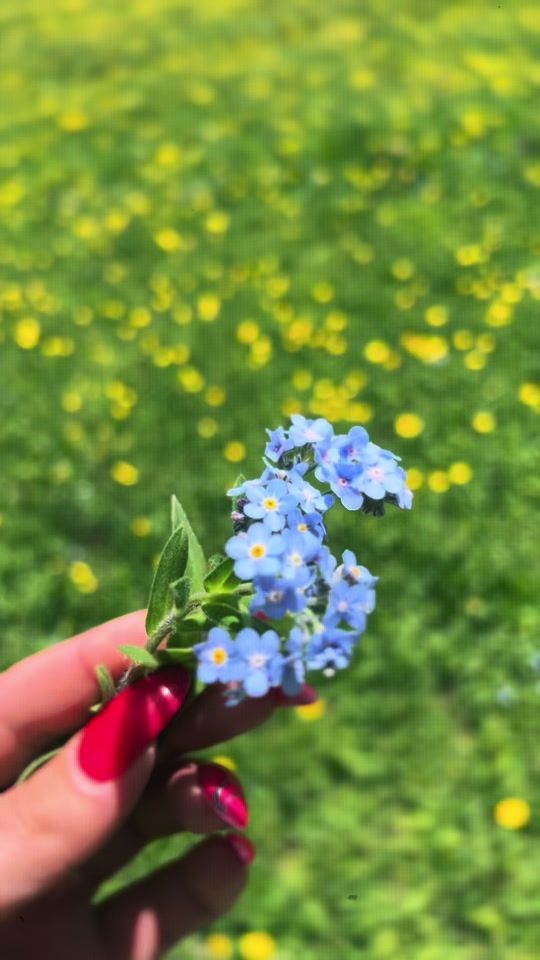 TikTok video thumbnail by mariamtatishvili8