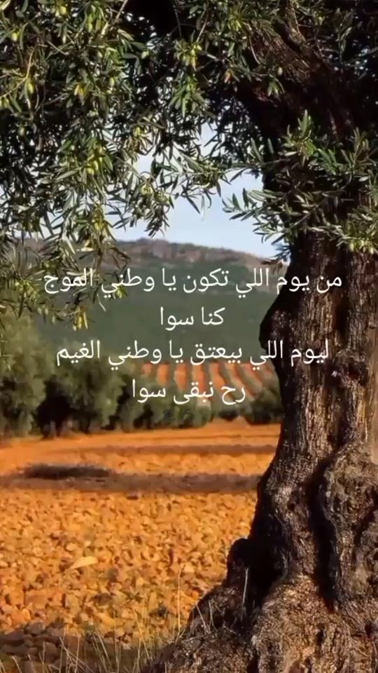 TikTok video thumbnail by fairouz963