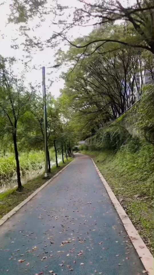 TikTok video thumbnail by dipakdulal07