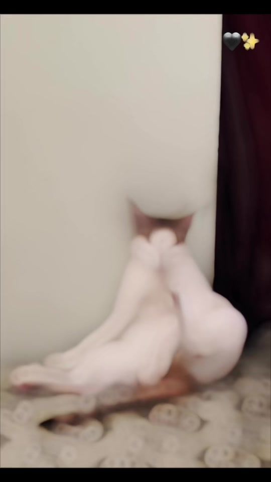 TikTok video thumbnail by jenjengofficial