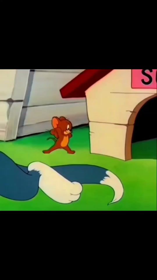TikTok video thumbnail by tomandjerry_clips
