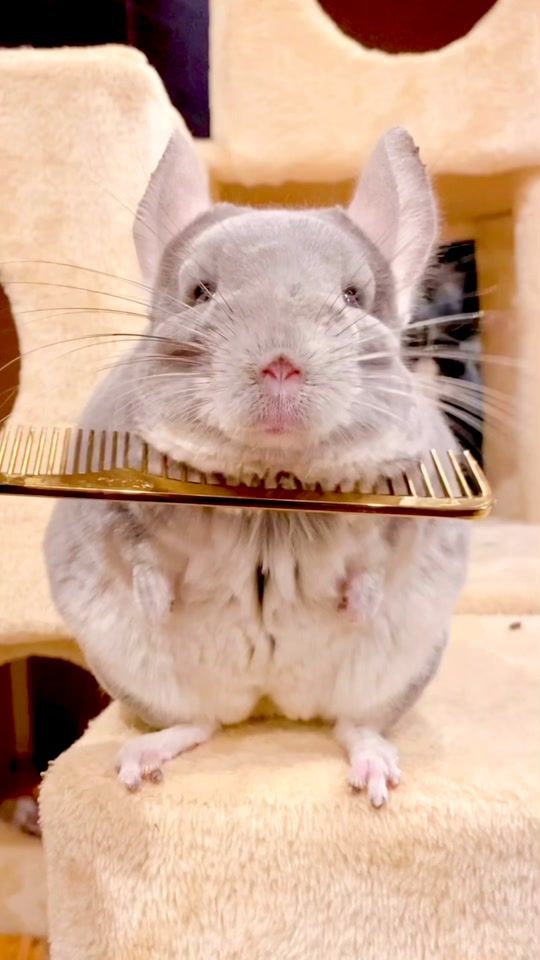 TikTok video thumbnail by suerte_sue