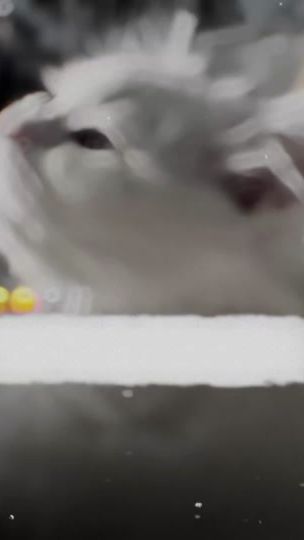 TikTok video thumbnail by zeesho_army