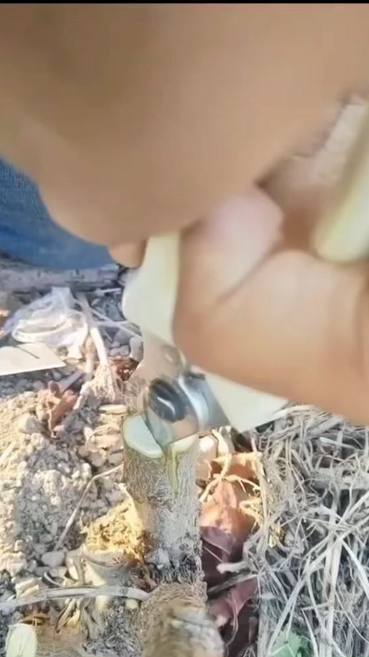 TikTok video thumbnail by eduard.mr