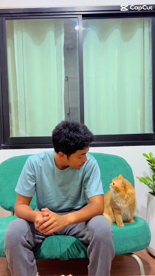 TikTok video thumbnail by survivecat