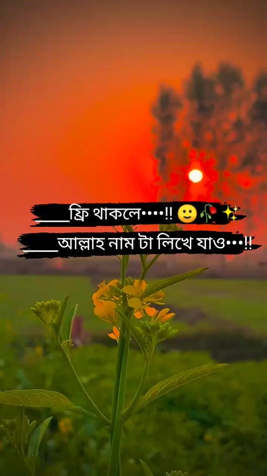 TikTok video thumbnail by hey_itz_me_mim_7