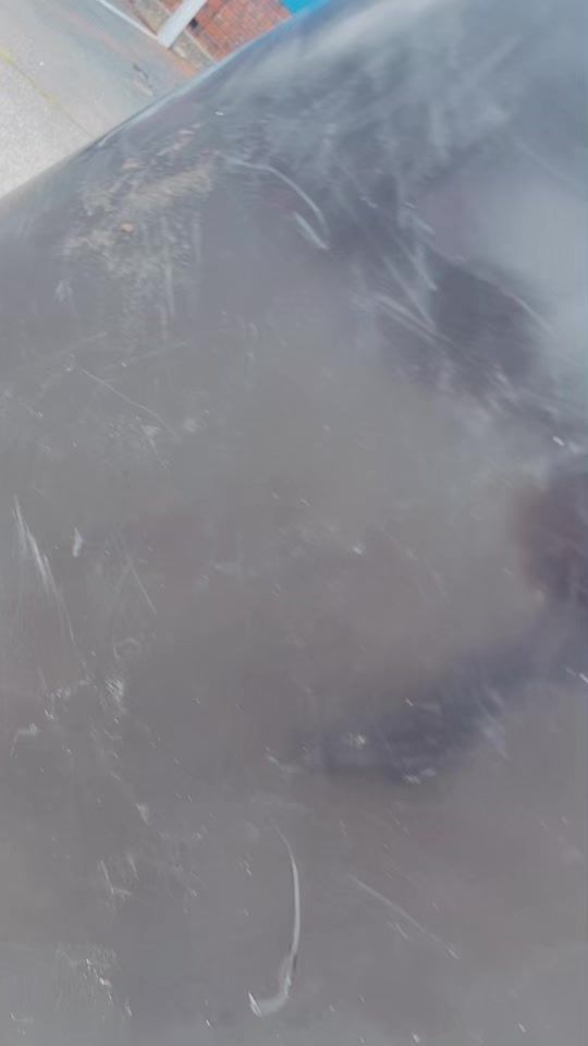 TikTok video thumbnail by vusileremi