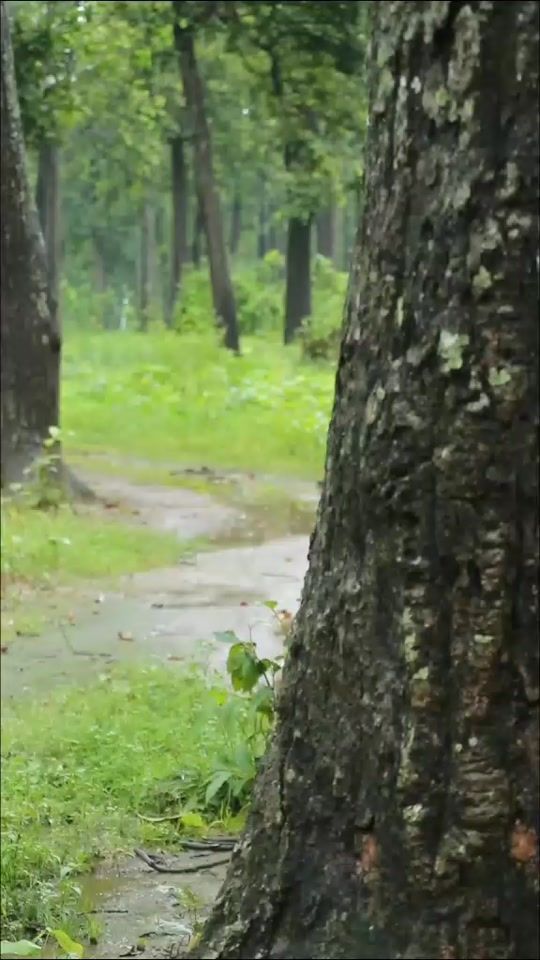 TikTok video thumbnail by abinashchaudhary29