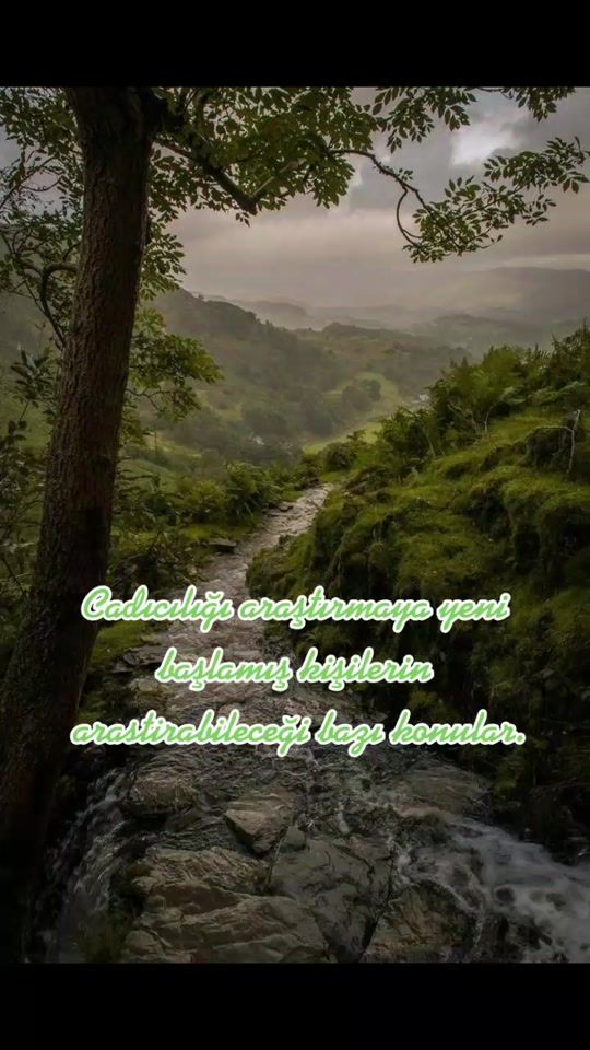 TikTok video thumbnail by witcharcanum