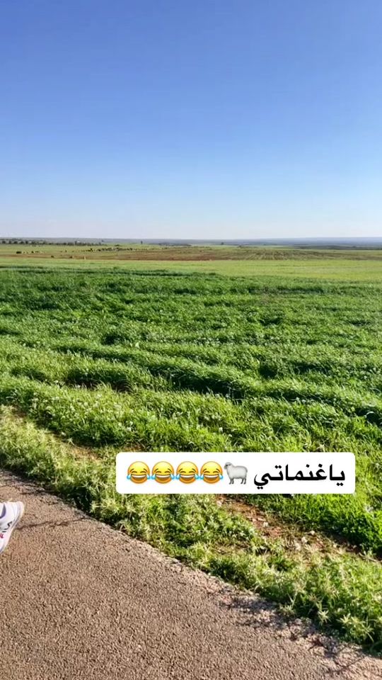 TikTok video thumbnail by yaqoop9009