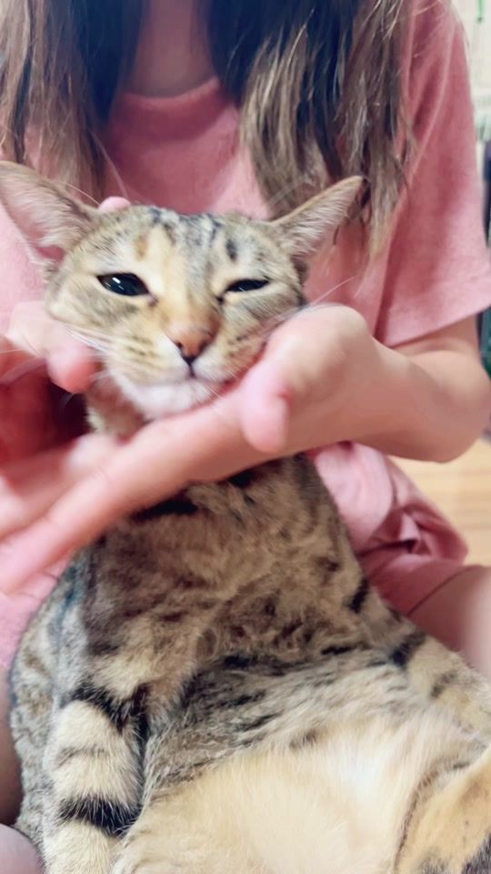TikTok video thumbnail by ko.mu.gi