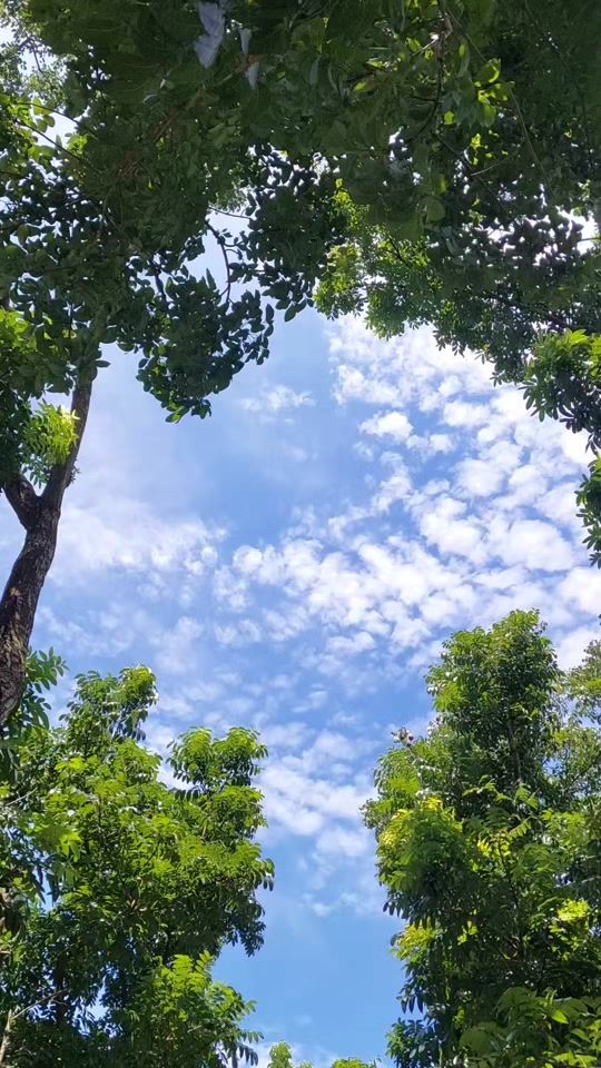 TikTok video thumbnail by sha65.com7
