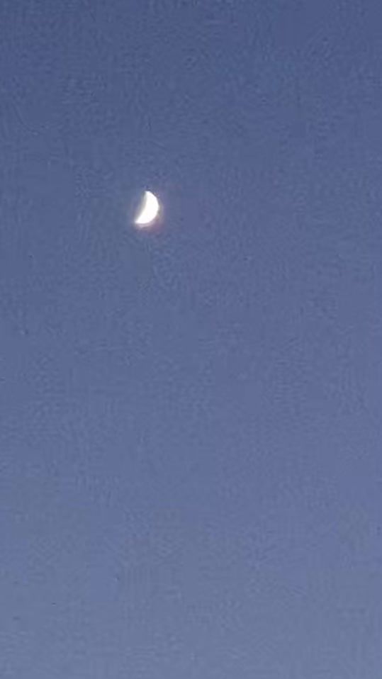 TikTok video thumbnail by yomei16